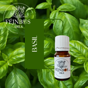 Basil EO 5ml