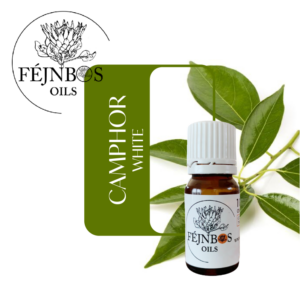 Camphor EO 5ml