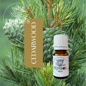 Cedarwood EO 5ml
