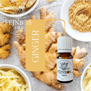 Ginger EO 5ml