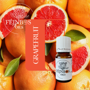 Grapefruit 5ml Essensiële Olie - September MaandOlie