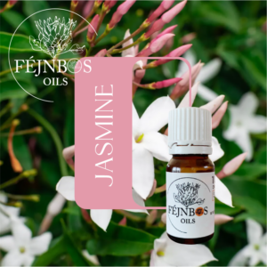 Jasmine EO 5ml